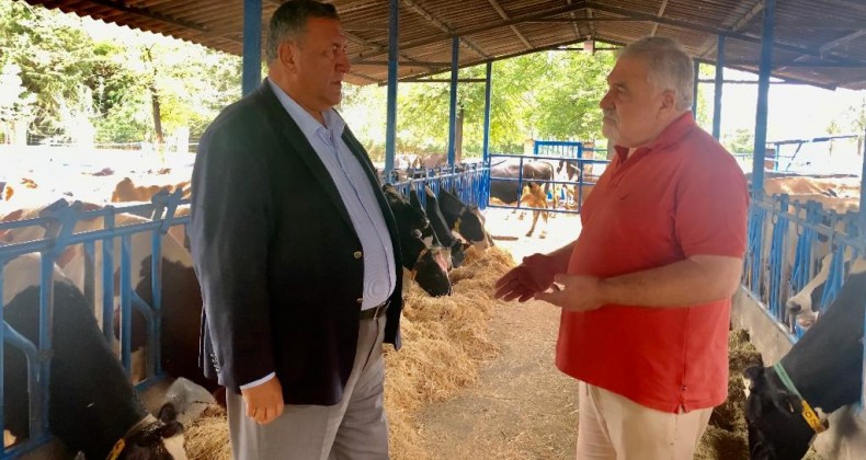 GÜRER: “HAYVANCILIKTA İTHALATLA ÇÖZÜM OLMUYOR”