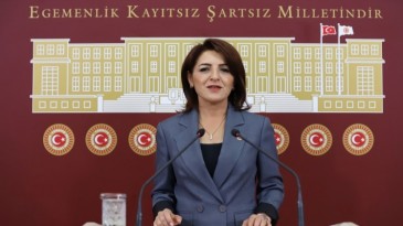 CHP MERSİN MİLLETVEKİLİ KIŞ, SAĞLIKTA ŞİDDETİ TBMM GÜNDEMİNE TAŞIDI