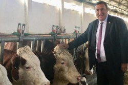 GÜRER: “ET VE SÜT MAMULLERİ ‘SEYİRLİK’ OLACAK”