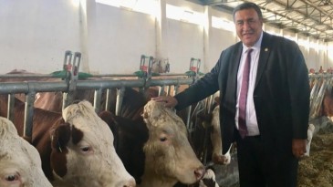 GÜRER: “ET VE SÜT MAMULLERİ ‘SEYİRLİK’ OLACAK”