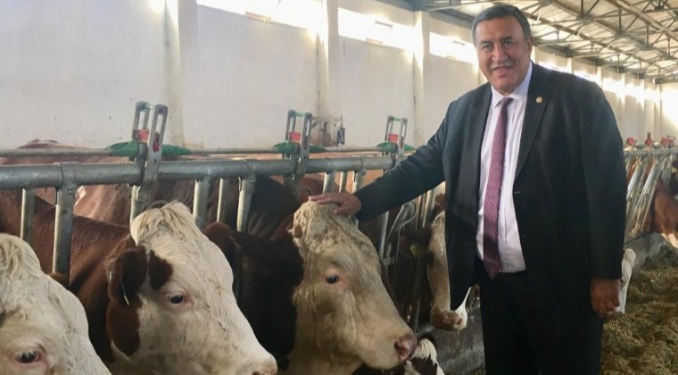 GÜRER: “ET VE SÜT MAMULLERİ ‘SEYİRLİK’ OLACAK”