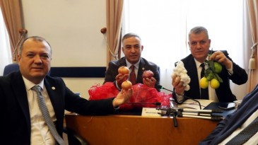BAKAN YUMAKLI’YA PAMUK VE LİMON ŞOKU
