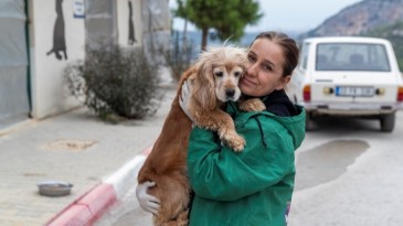 ENGELLİ PATİLİ DOSTLAR BÜYÜKŞEHİR BARINAĞINDA GÜVENDE