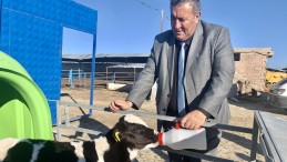 GÜRER: “YEM FİYATLARI DÜŞMEZSE ET VE SÜT FİYATLARI ARTAR”