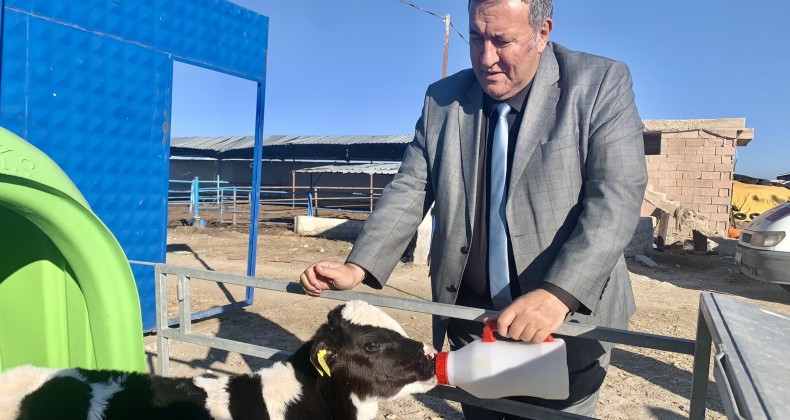 GÜRER: “YEM FİYATLARI DÜŞMEZSE ET VE SÜT FİYATLARI ARTAR”