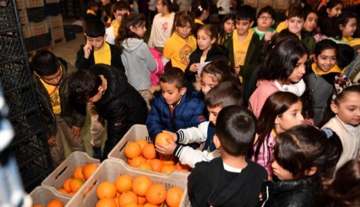 15 GÜNLÜK RAMAZAN KOLİSİ 4 BİN LİRA