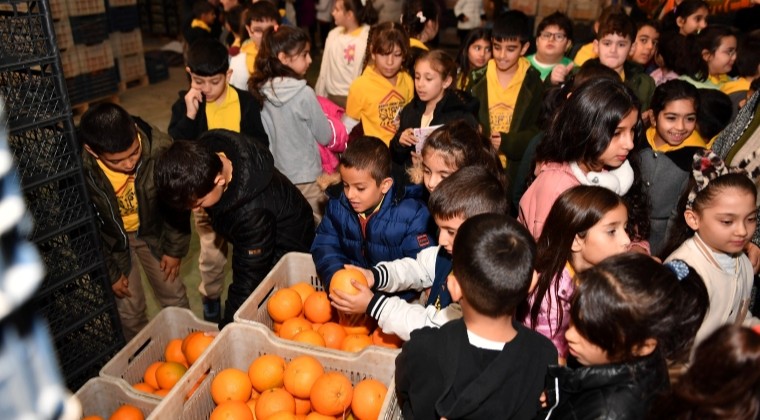 ÖĞRENCİLER ‘YERLİ MALI HAFTASI’NDA MERSİN HALİ’Nİ GEZDİ