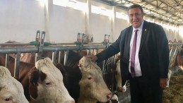 KIRMIZI ET PİYASASINI BELİRLEYECEKKEN PİYASAYA UYMAK ZORUNDA KALDI