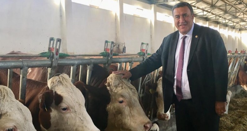 KIRMIZI ET PİYASASINI BELİRLEYECEKKEN PİYASAYA UYMAK ZORUNDA KALDI