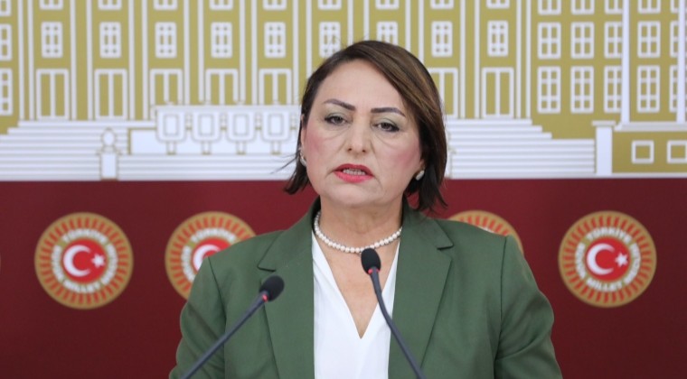 ŞEVKİN, KAMU MÜHENDİSLERİNİN SORUNLARINI MECLİSE TAŞIDI