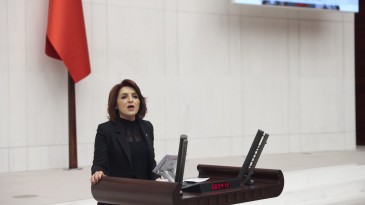 KIŞ: “ZEYTİNYAĞI FABRİKASINA BİLE SEÇMEN KAYDI YAPILMIŞ”