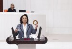 MÜZEYYEN ŞEVKİN AÇIKLADI: ZEYTİNİN TANESİ 2 LİRA OLDU!