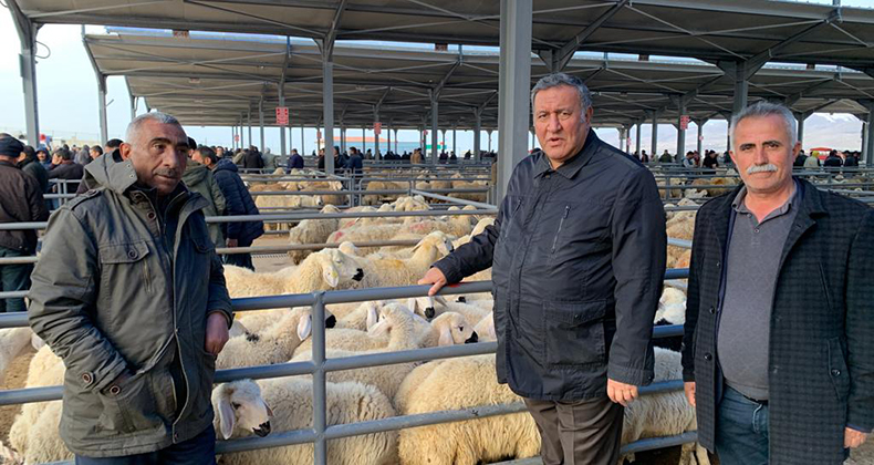 KURBANDA KOYUN 15 BİN TL’Yİ BULUYOR