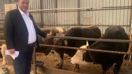 “İTHAL HAYVAN VE ETLER İLE KİM KAZANIYOR”