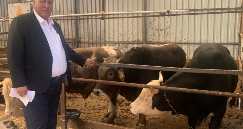 “İTHAL HAYVAN VE ETLER İLE KİM KAZANIYOR”