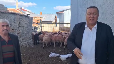 GÜRER: “KÜÇÜKBAŞ KURBANLIKTA FİYATLAR KATLANDI”