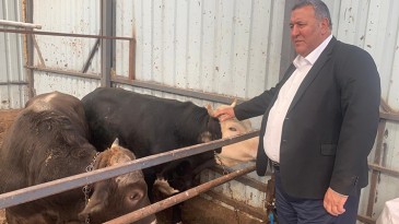 HAYVANCILIKTA YAŞANAN SORUNLAR MECLİS GÜNDEMİNDE