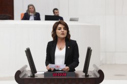 GÜLCAN KIŞ’TAN ATAMA VE MÜLAKAT TEPKİSİ