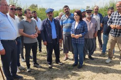 GÜLCAN KIŞ, ÇİFTÇİLER İÇİN HÜKÜMETE DESTEK ÇAĞRISI YAPTI