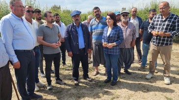 GÜLCAN KIŞ, ÇİFTÇİLER İÇİN HÜKÜMETE DESTEK ÇAĞRISI YAPTI