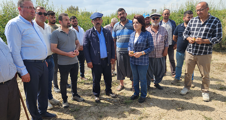 GÜLCAN KIŞ, ÇİFTÇİLER İÇİN HÜKÜMETE DESTEK ÇAĞRISI YAPTI