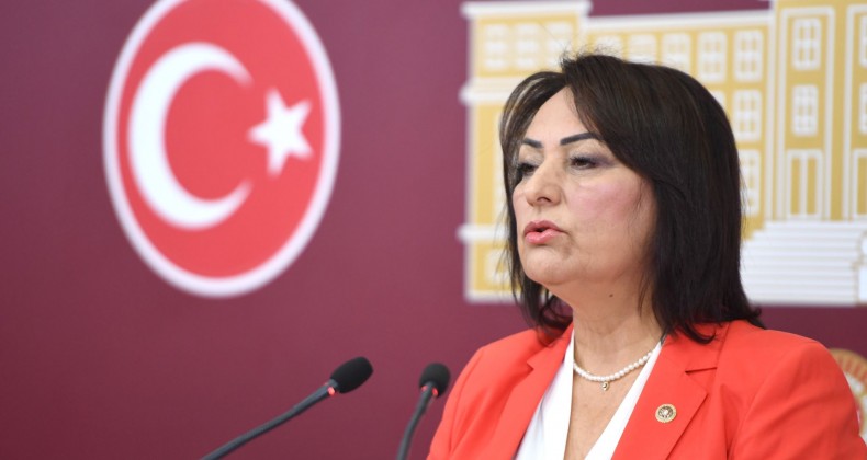 MÜZEYYEN ŞEVKİN, MAĞDUR ÇİFTÇİNİN SESİ OLDU
