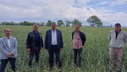 GÜRER: BUĞDAY TABAN FİYATI TON BAŞINA 15 BİN TL OLMALI…