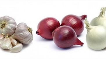 3 AYDA 887 TON SOĞAN, 854 TON SARIMSAK İTHAL ETTİK!