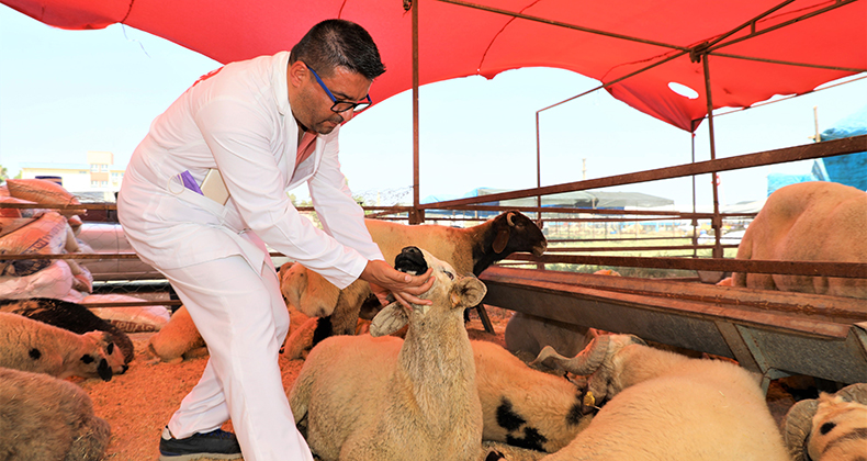 YÜREĞİR’DE KURBAN SATIŞ VE KESİM YERLERİ BELİRLENDİ