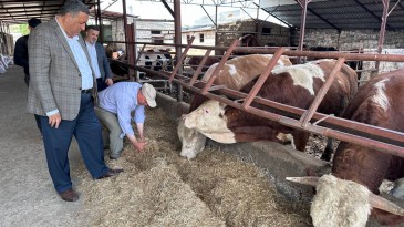 “HAVYAN VARLIĞIMIZ ERİYOR”