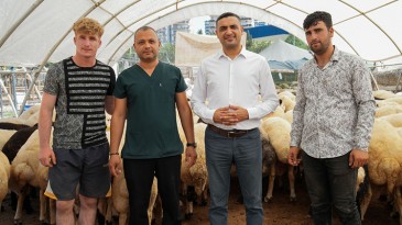 SEYHAN BELEDİYESİ KURBAN BAYRAMI’NA HAZIR