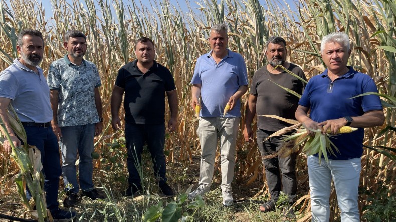 ADANALI ÇİFTÇİLER, SULAMA MAĞDURU