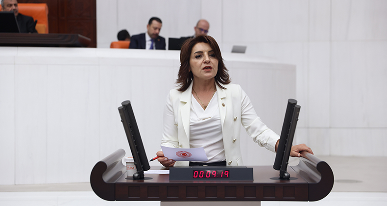 GÜLCAN KIŞ, SMA HASTALARI İÇİN İKTİDARA ÇAĞRI YAPTI