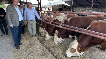 VATANDAŞ KURBANLIĞI SADECE SEYREDİYOR!