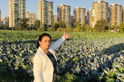 MÜZEYYEN ŞEVKİN: ÇUKUROVA AFET BÖLGESİ İLAN EDİLSİN