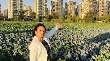 MÜZEYYEN ŞEVKİN: ÇUKUROVA AFET BÖLGESİ İLAN EDİLSİN