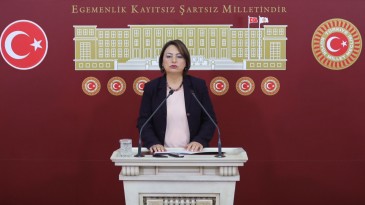 ŞEVKİN: “KADINLAR, ÜRETİM ALANLARININ DIŞINA İTİLİP EV HAPSEDİLİYOR”
