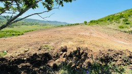 AVRUPA’YA 350 TON TAZE MEYVE VE SEBZE İHRAÇ EDECEK…