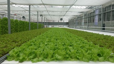 KARATAŞ TARIMA DAYALI İHTİSAS (SERA) ORGANİZE SANAYİ BÖLGESİNİN ALTYAPI YAPIM İŞİ İHALESİ GERÇEKLEŞTİRİLİYOR