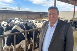 GÜRER: “HAYVANCILIKTA SORUNLARI İKTİDAR YARATIYOR”