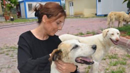 “ÖLÜMDEN ÇÖZÜM OLMAZ”