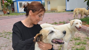 “ÖLÜMDEN ÇÖZÜM OLMAZ”