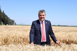 BARUT: ÇİFTÇİYİ TÜCCARA MAHKUM EDİYORLAR