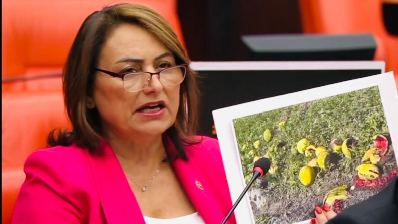 MEYVELER, SEBZELER YANDI, KİMSEDEN SES YOK