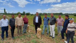 TARLA VE MARKET FİYATLARI ARASINDA UÇURUM VAR…