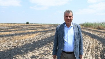 “ANIZ YANGINLARI FELAKETE NEDEN OLUYOR”