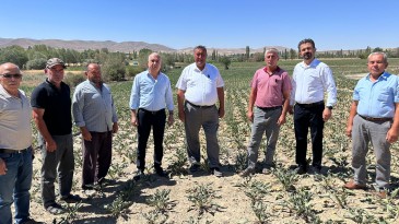 GÜRER: “KURAKLIK VE SULAMA SORUNLARI DA ÜRETİCİYİ VURDU”