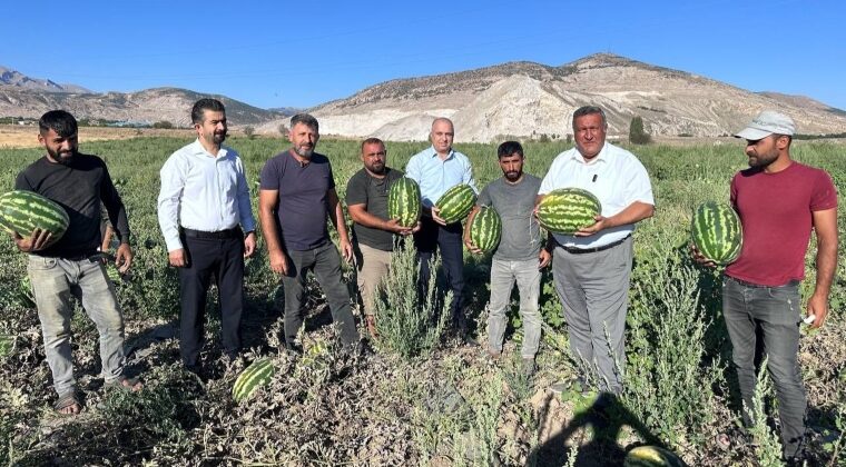 “KARPUZ TARLADA KALDI”