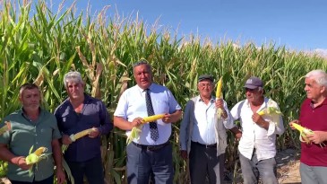 GÜRER: “MISIR ALIM FİYATI EN AZ 11 LİRA OLMALI”