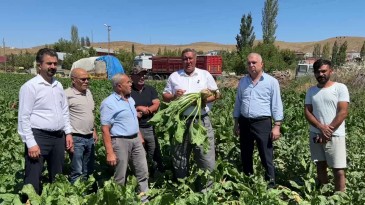 GÜRER: “KAMPANYAYA BİR AY KALDI. FİYAT BELİRSİZ”